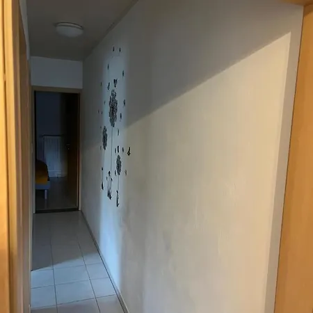 Dominik , Fill * Horath