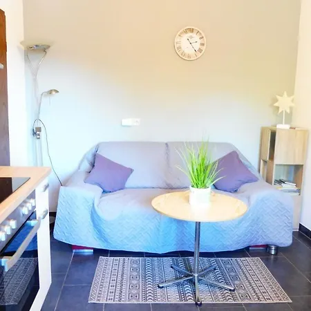 Dominik , Fill Appartement Horath