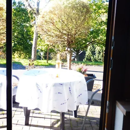 Dominik , Fill Horath