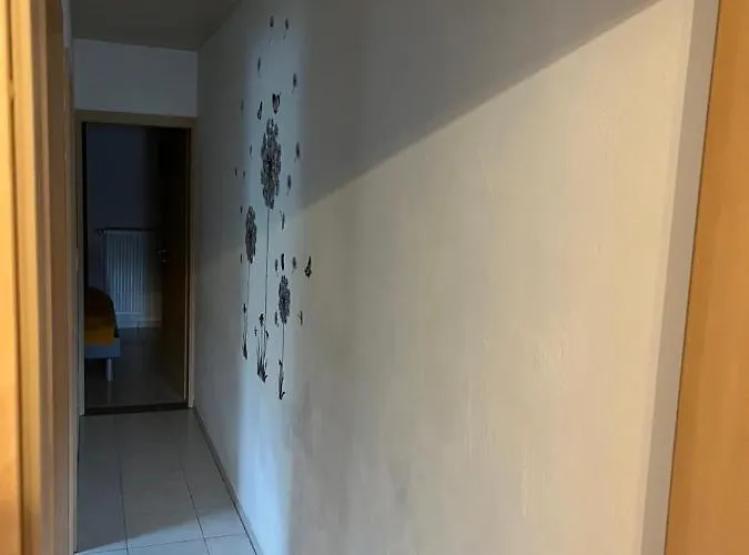 Dominik , Fill * Horath