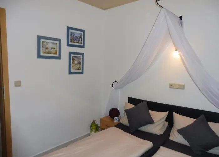 Dominik , Fill Horath